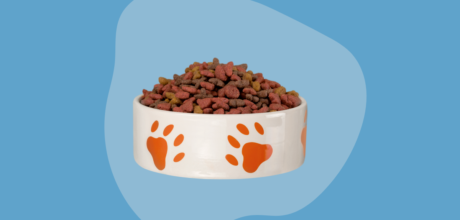 Muestras Gratis de Alimento para Mascotas: Cómo Reclamar desde el Celular